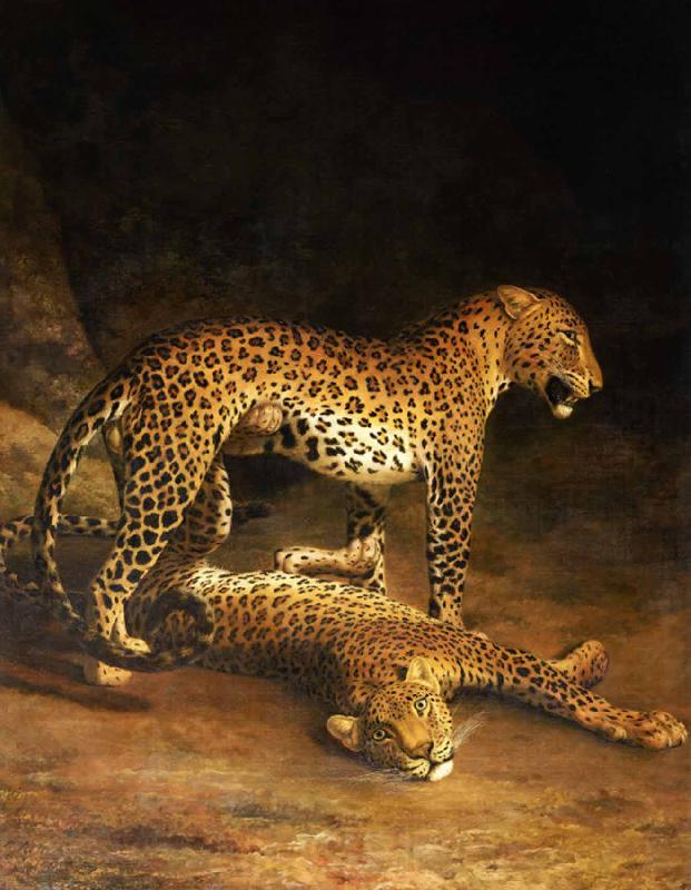Jacques-Laurent Agasse Two Leopards Lying in the Exeter France oil painting art